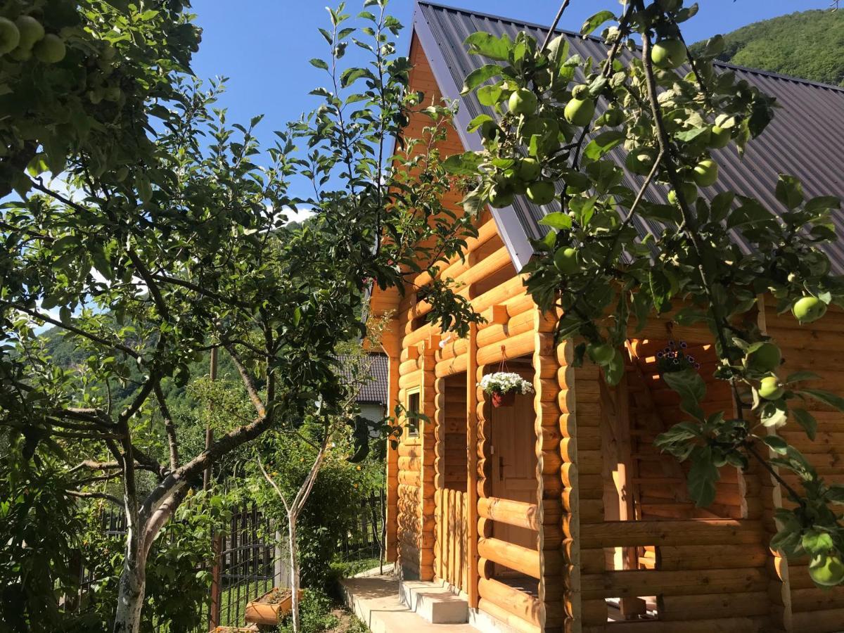 Guest House Kollata Vusanje Екстер'єр фото